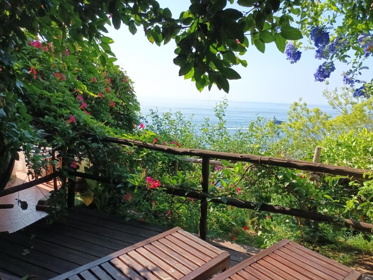 Casa Emi Sea View With Lemon Garden Apartment Amalfi Exterior photo